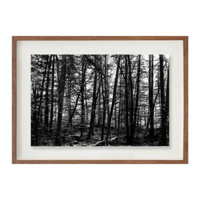 La Fageda 3 // Eleonora Aronis