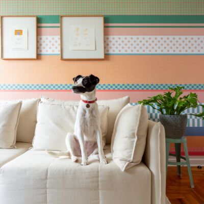 sala com cachorro vira lata