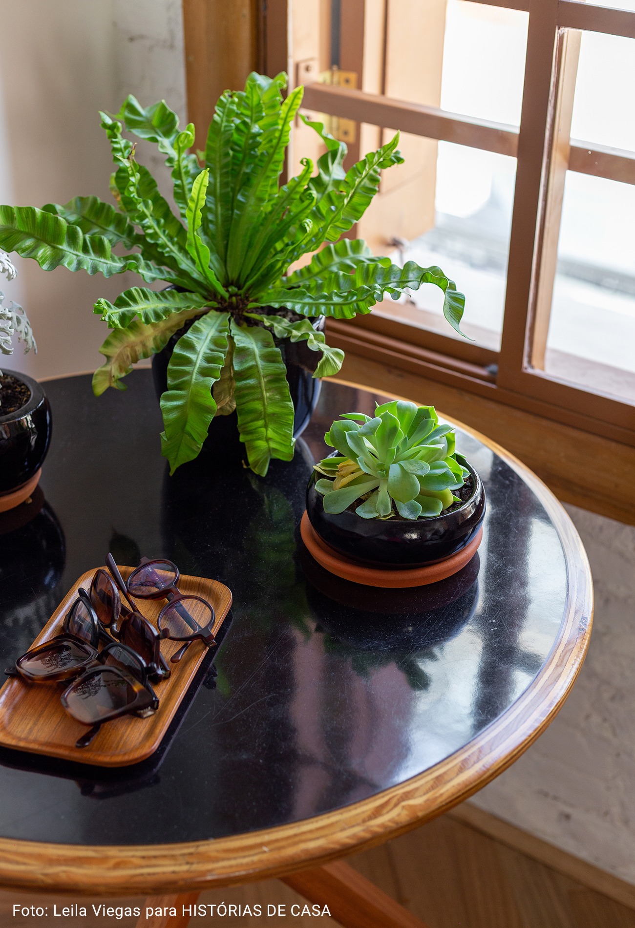 sala com plantas em mesa de apoio