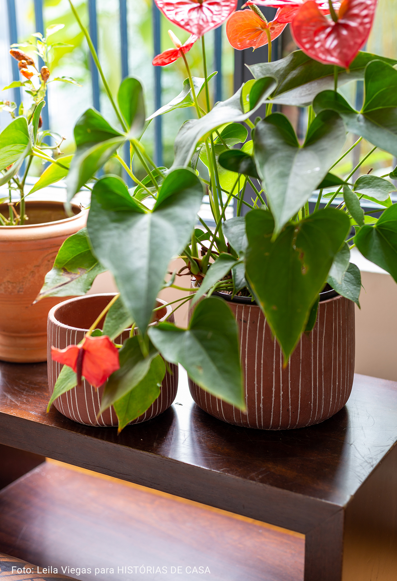 detalhe de vasos estilizados