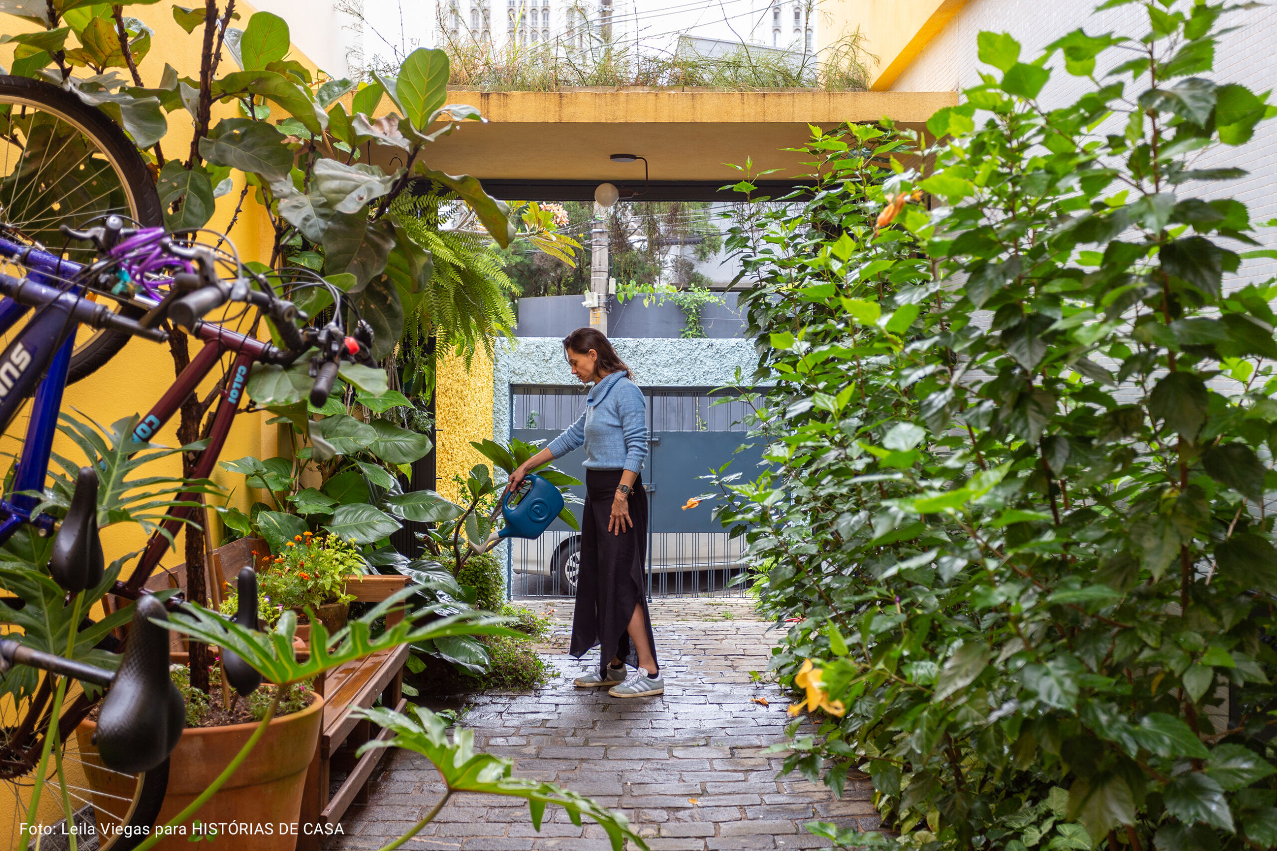 fundos de casa com paredes amarelas