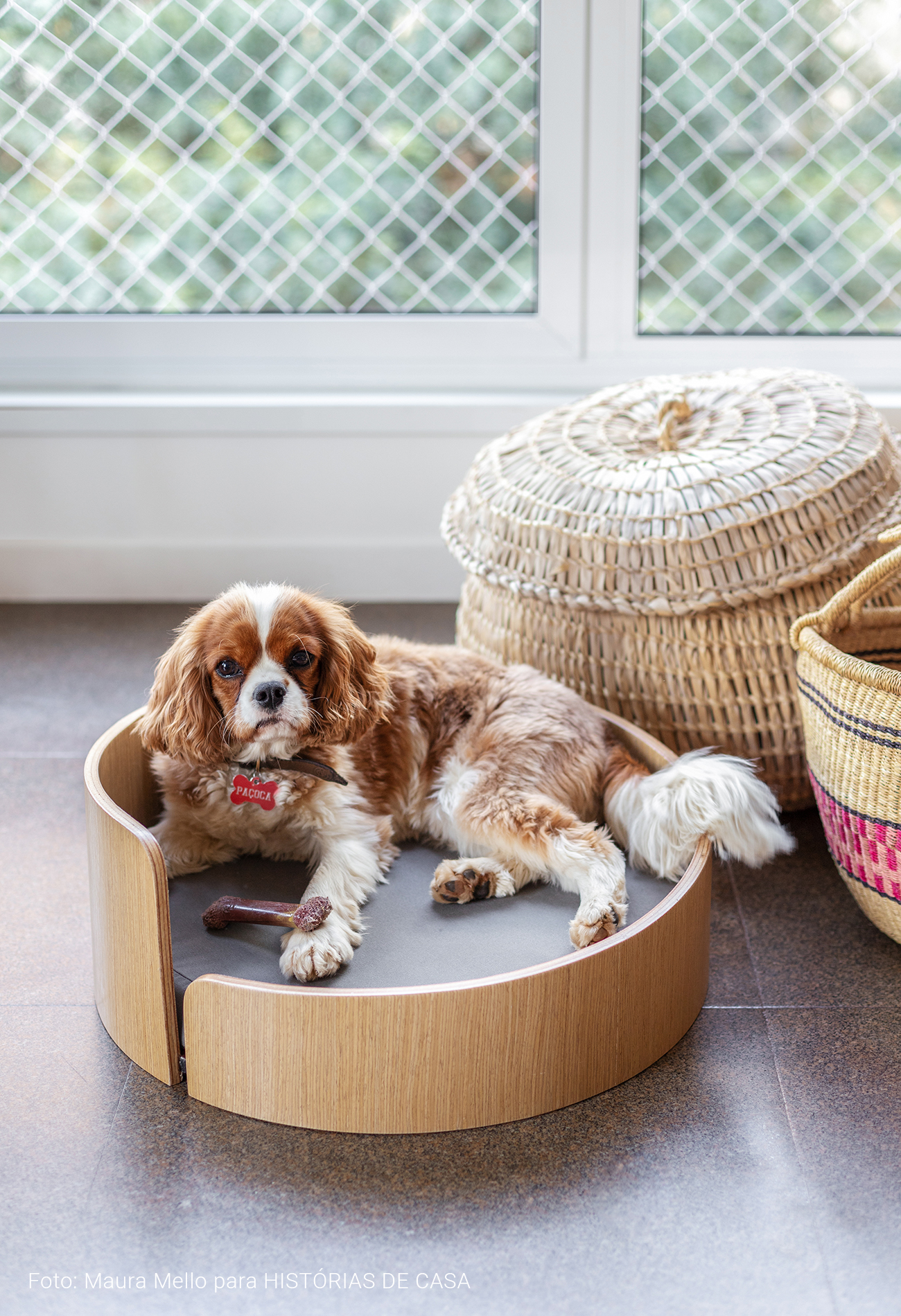 Cama de cachorro com design na loja Westwing