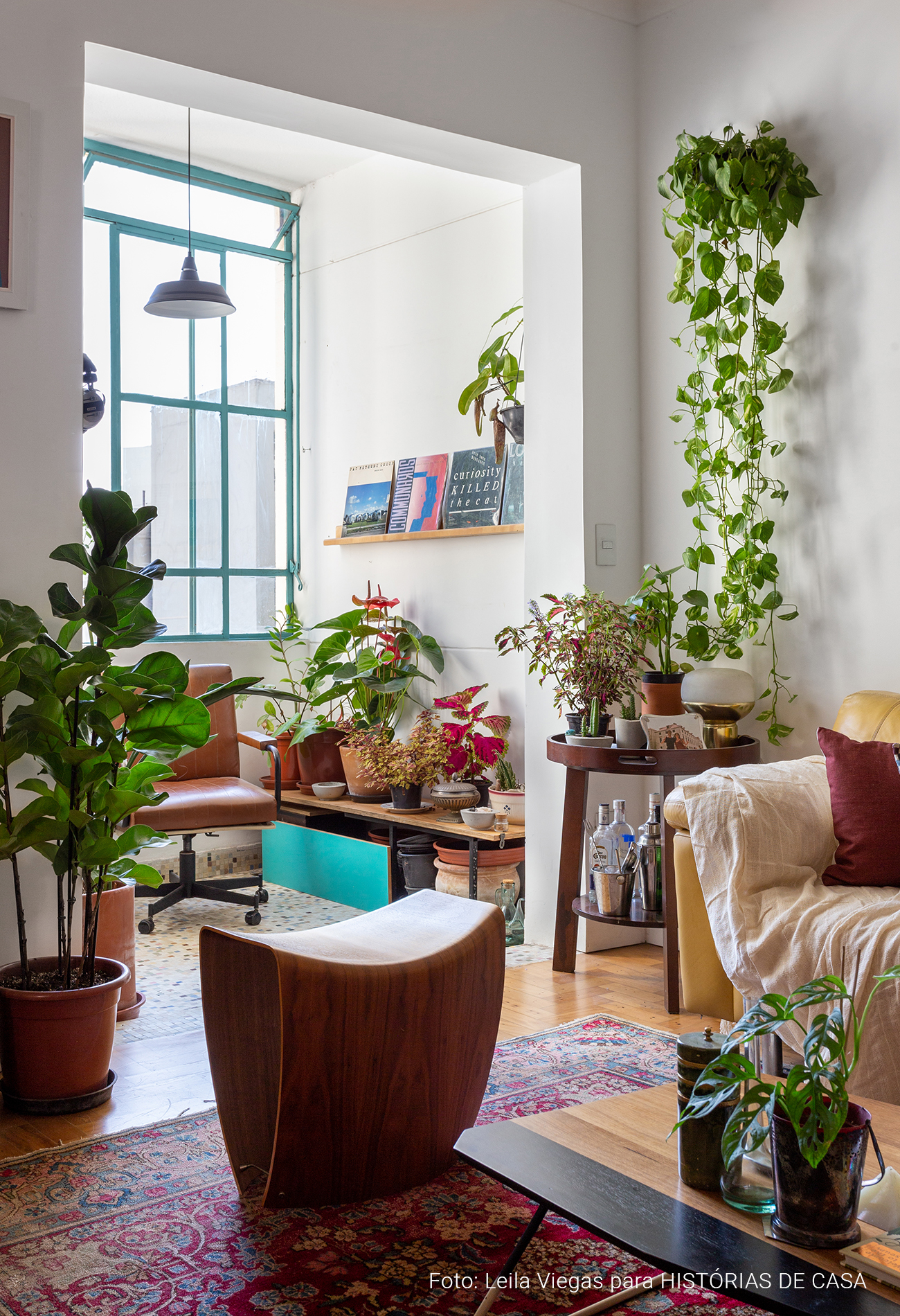 Apartamento colorido com muitas plantas e móveis vintage