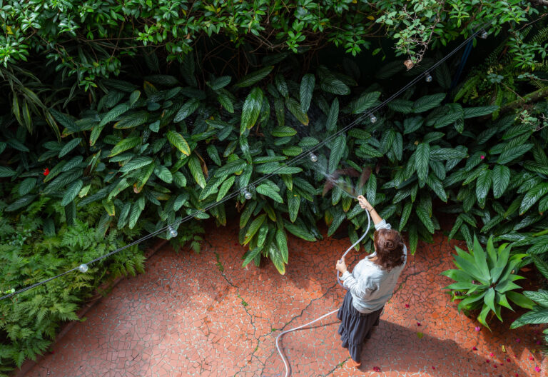 Casa de família com jardim e quintal