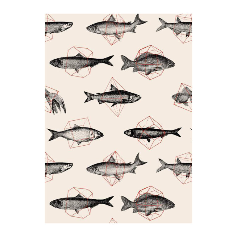 Fishes in Geometrics I - Florent Bodart