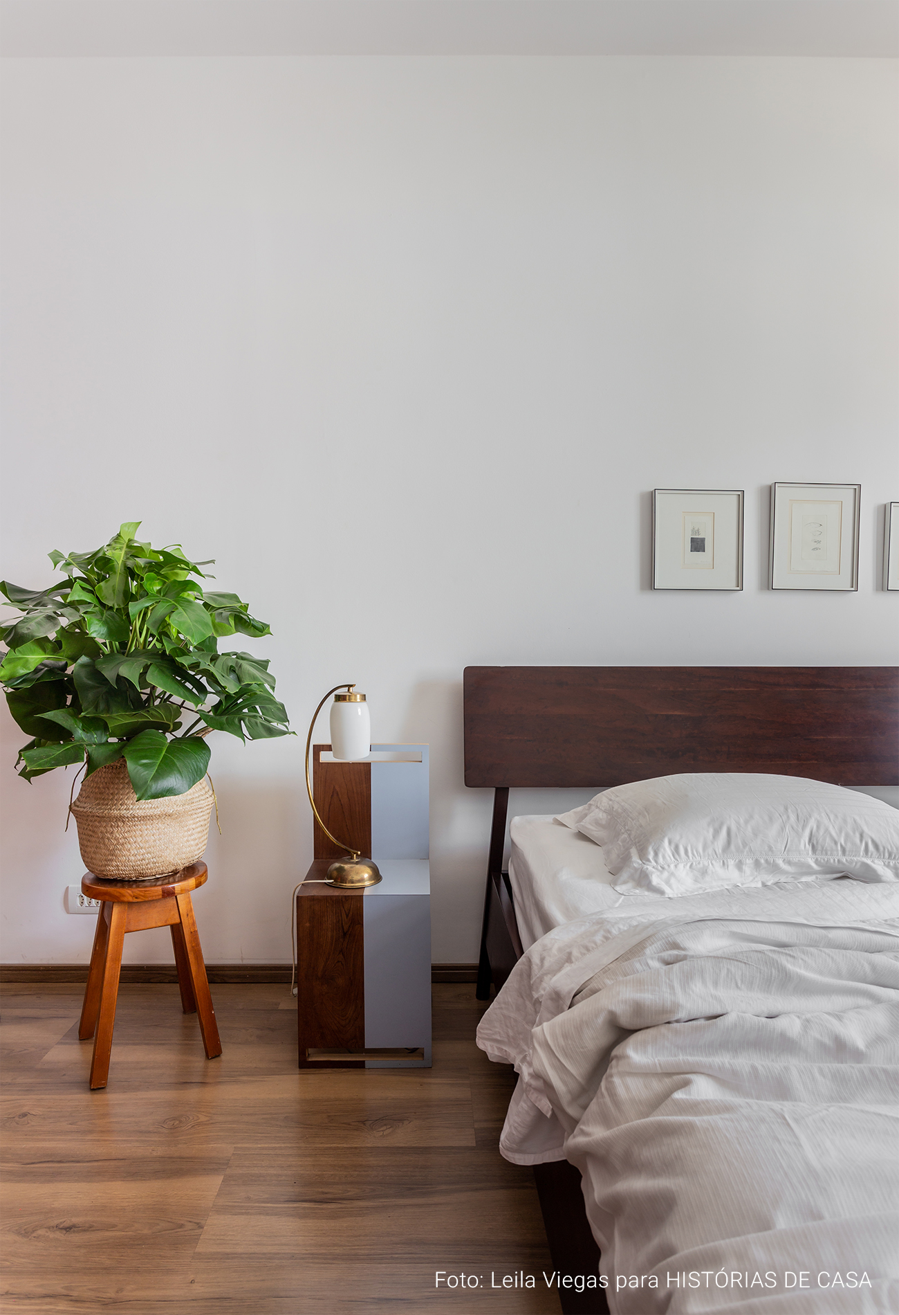 Apartamento colorido e criativo com muitas plantas e objetos de decoração afetivos