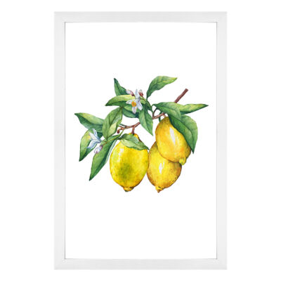 Quadro com vidro Cecília