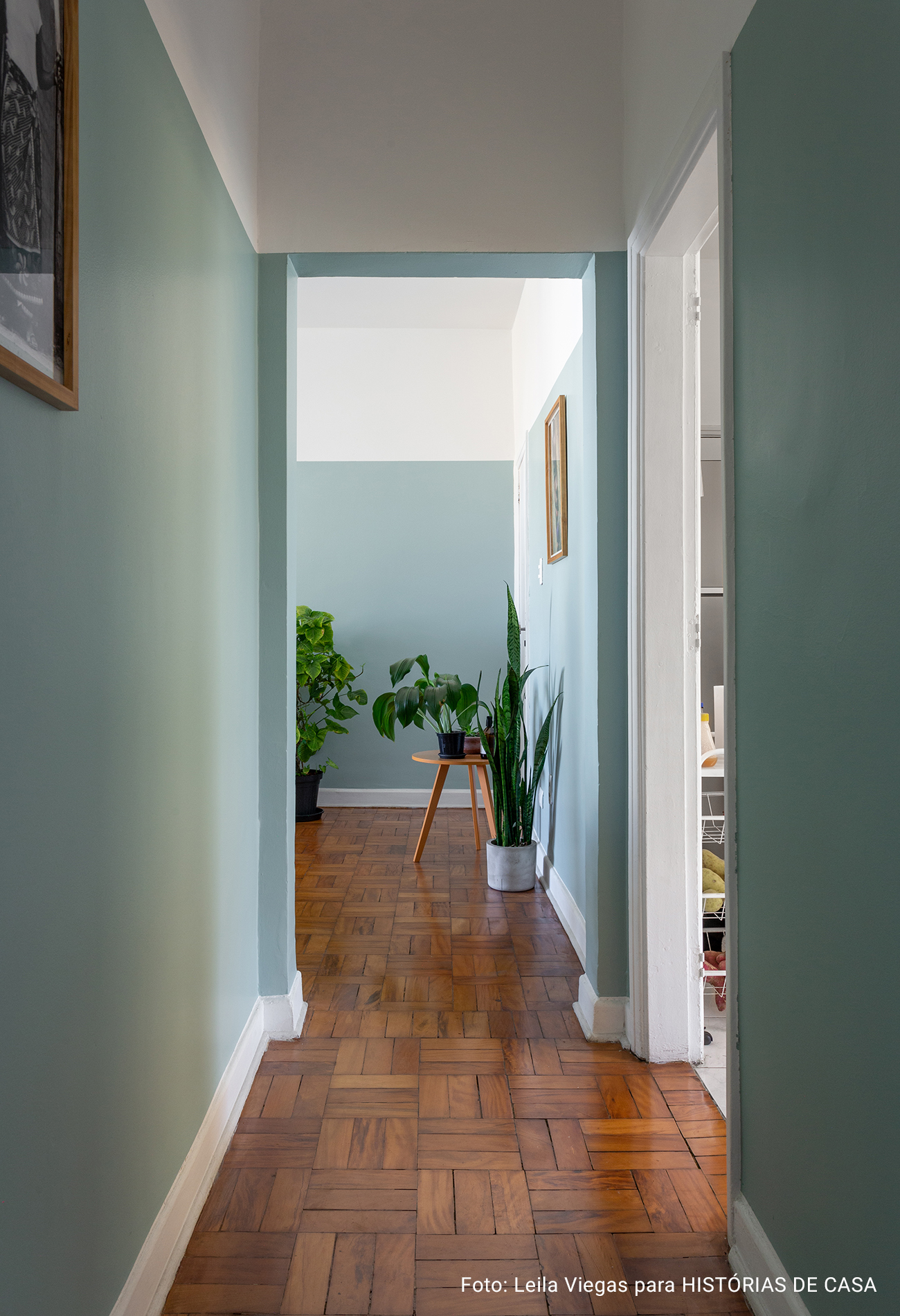 antes e depois, decoração, apartamento decorado, pintura, apartamento colorido, parede azul, plantas