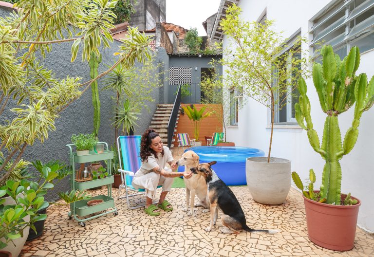 Casa decorada com quintal e parede colorida