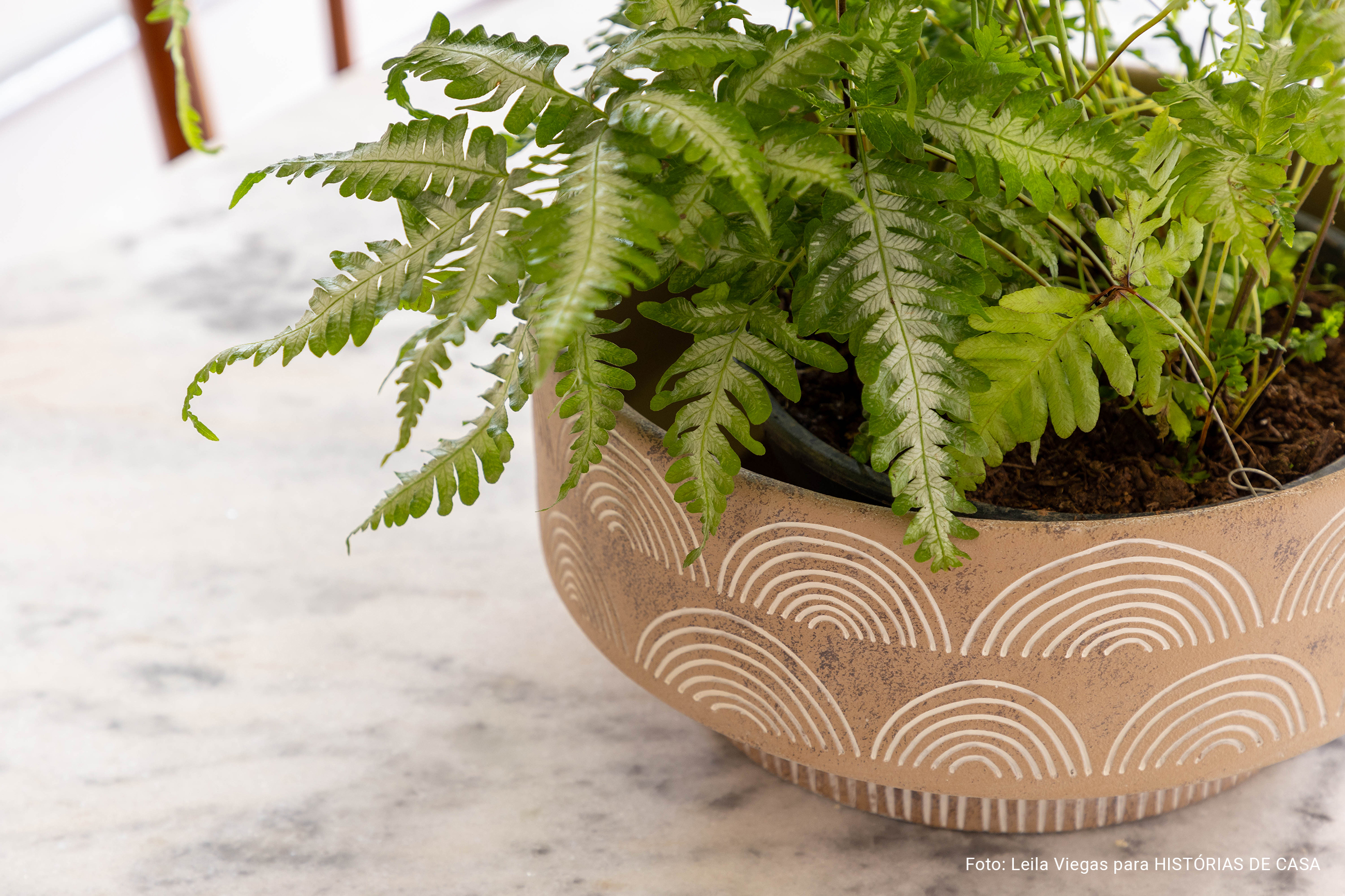 Casa de vila colorida com decoração afetiva, plantas e objetos da loja Casaquetem