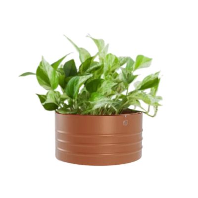 Cachepô Alumínio Cuia Friso Cobre