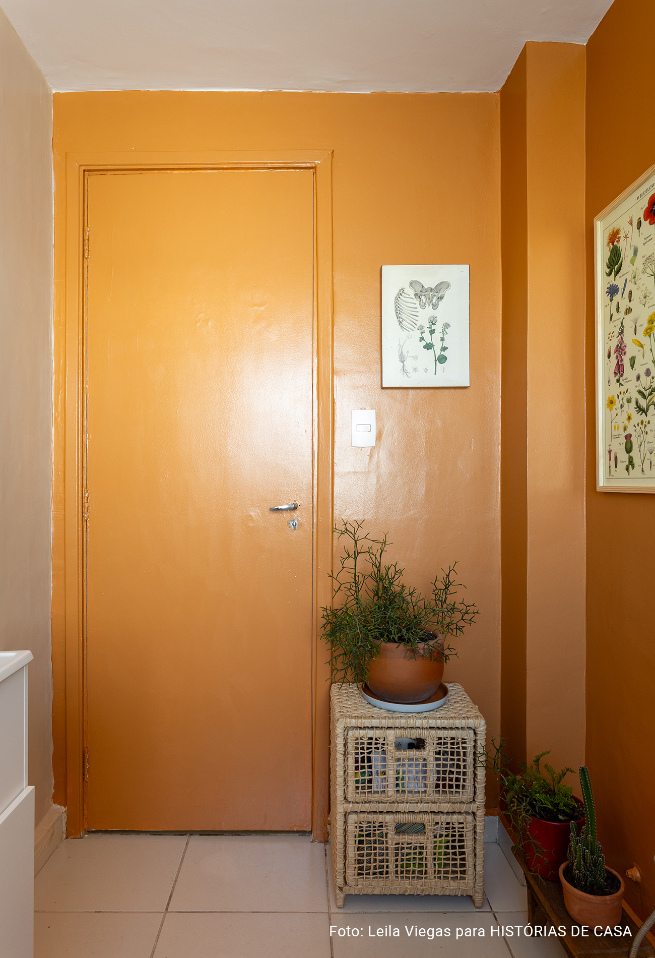 Sala de estar com paredes coloridas e decoração acolhedora