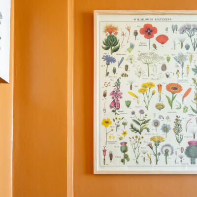 Antes e Depois com cores pontuais na sala e no banheiro