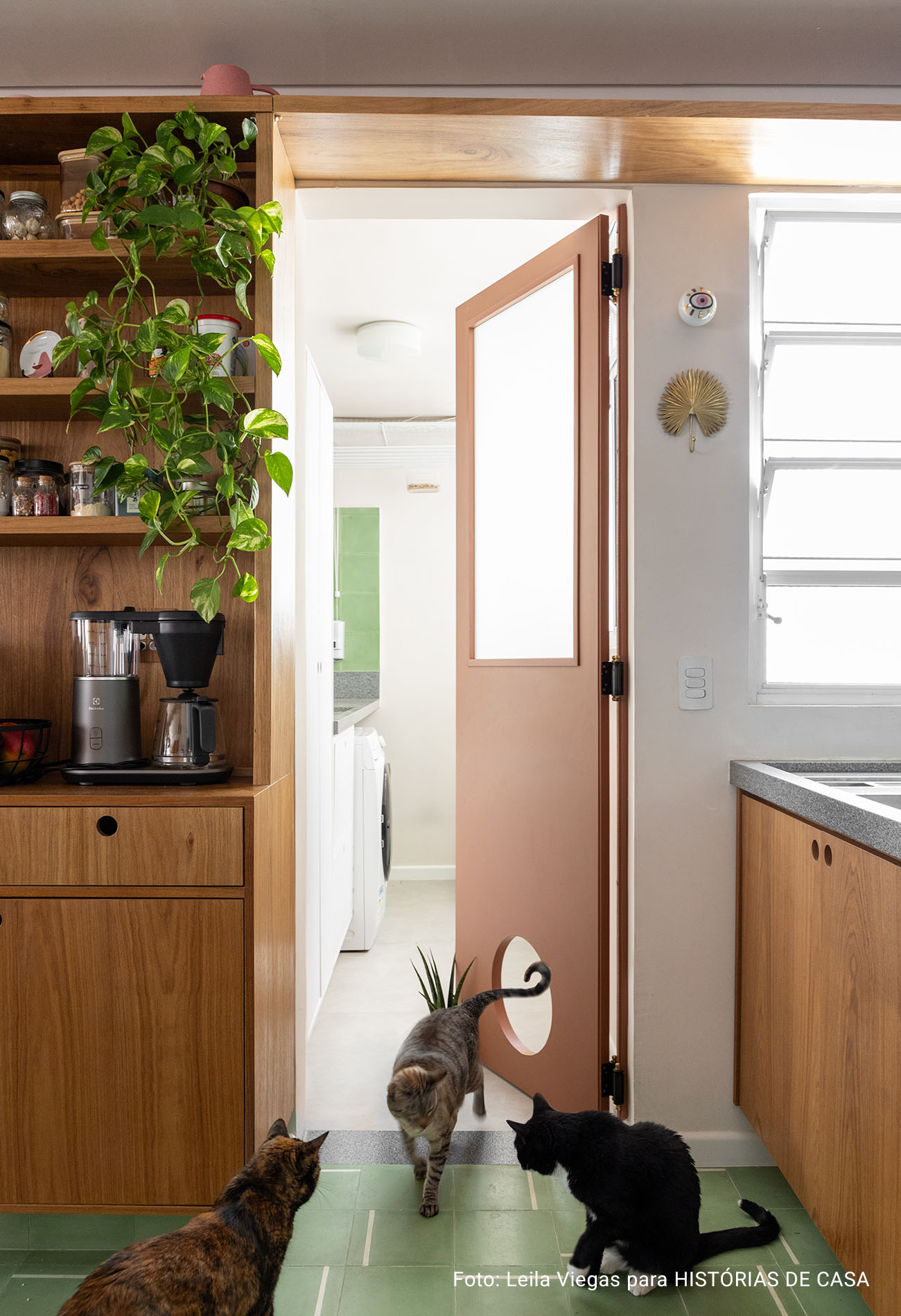 Apartamento colorido e integrado com gatos e eletrodomésticos da Electrolux