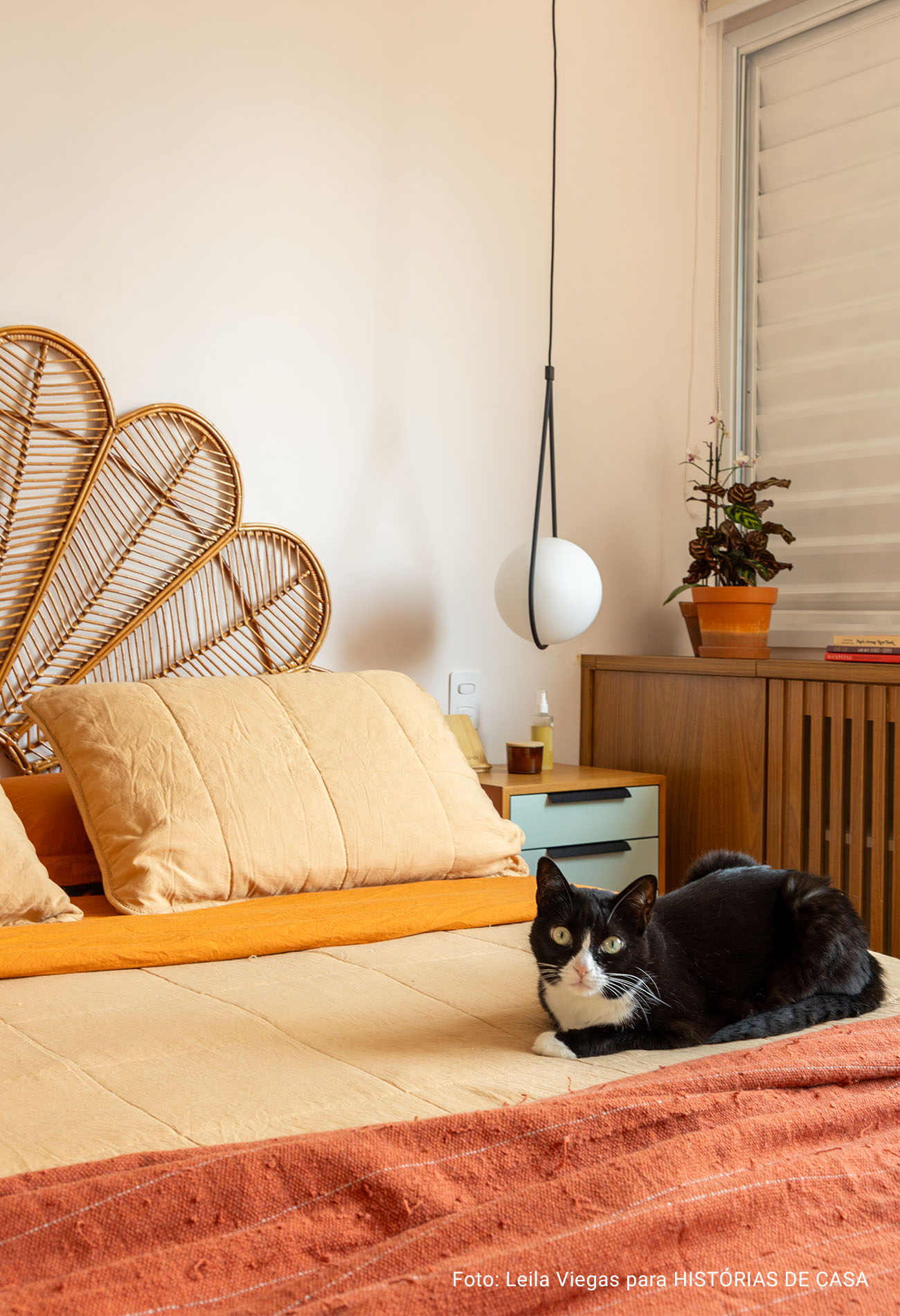 Apartamento colorido e integrado com gatos e eletrodomésticos da Electrolux