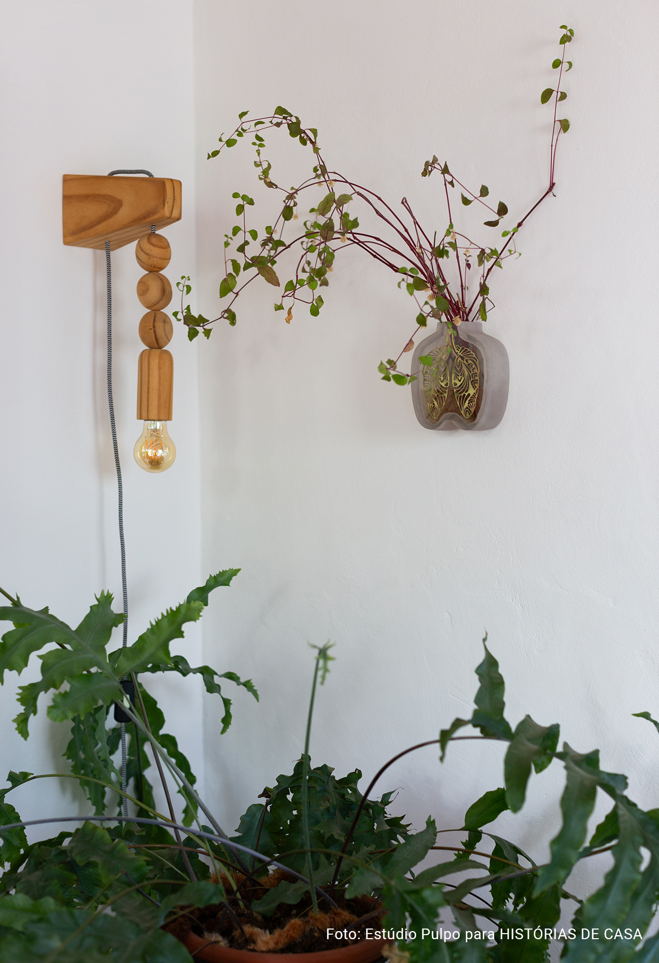 Casa de vila antiga reformada com grande área externa e jardim ensolarado, Histórias de Casa