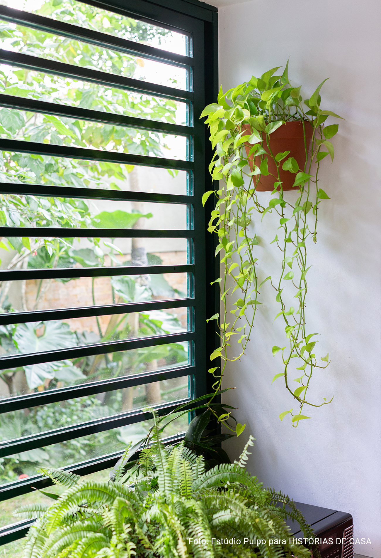 Casa de vila antiga reformada com grande área externa e jardim ensolarado, Histórias de Casa