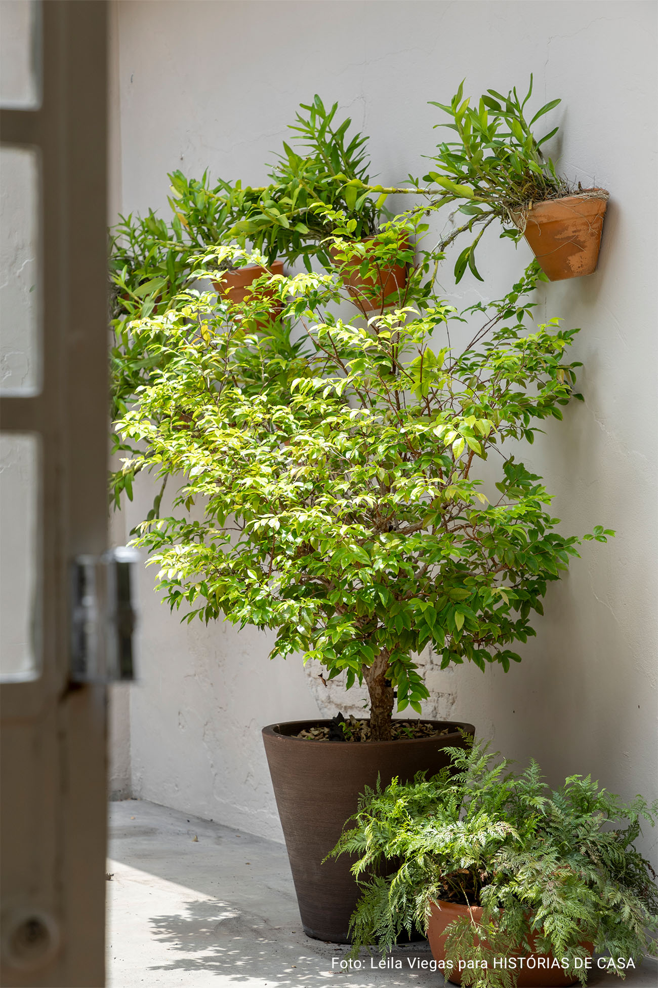 Decoração de casa com quintal, estantes de livros e quarto de criança.