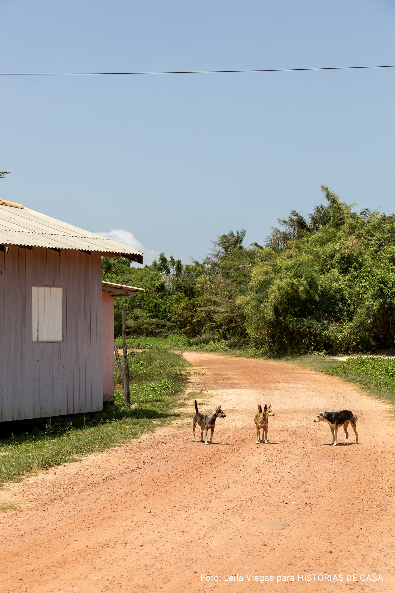 Um dia em Soure, na Ilha do Marajó