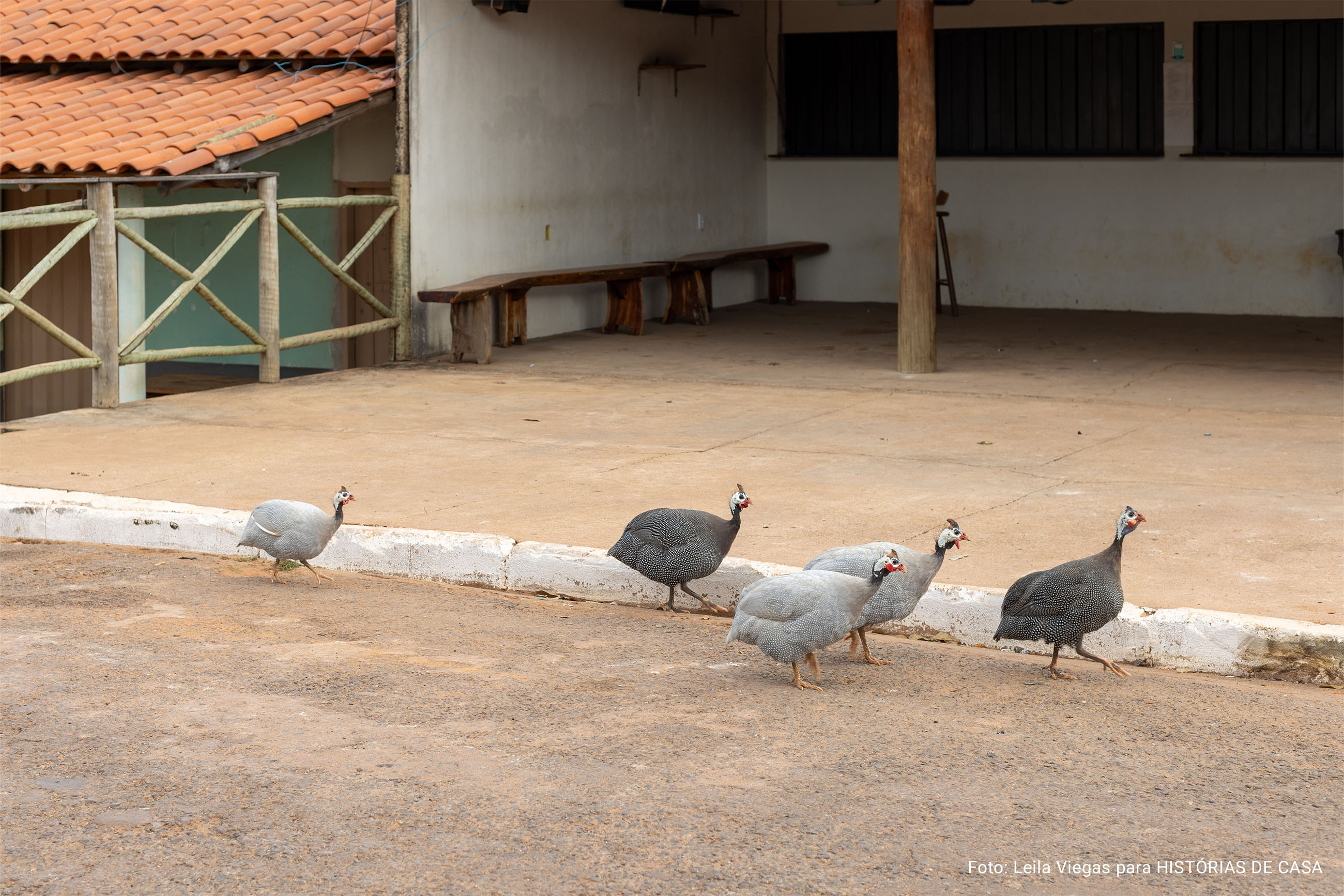 Uma expedição ao Vale do Jequitinhonha