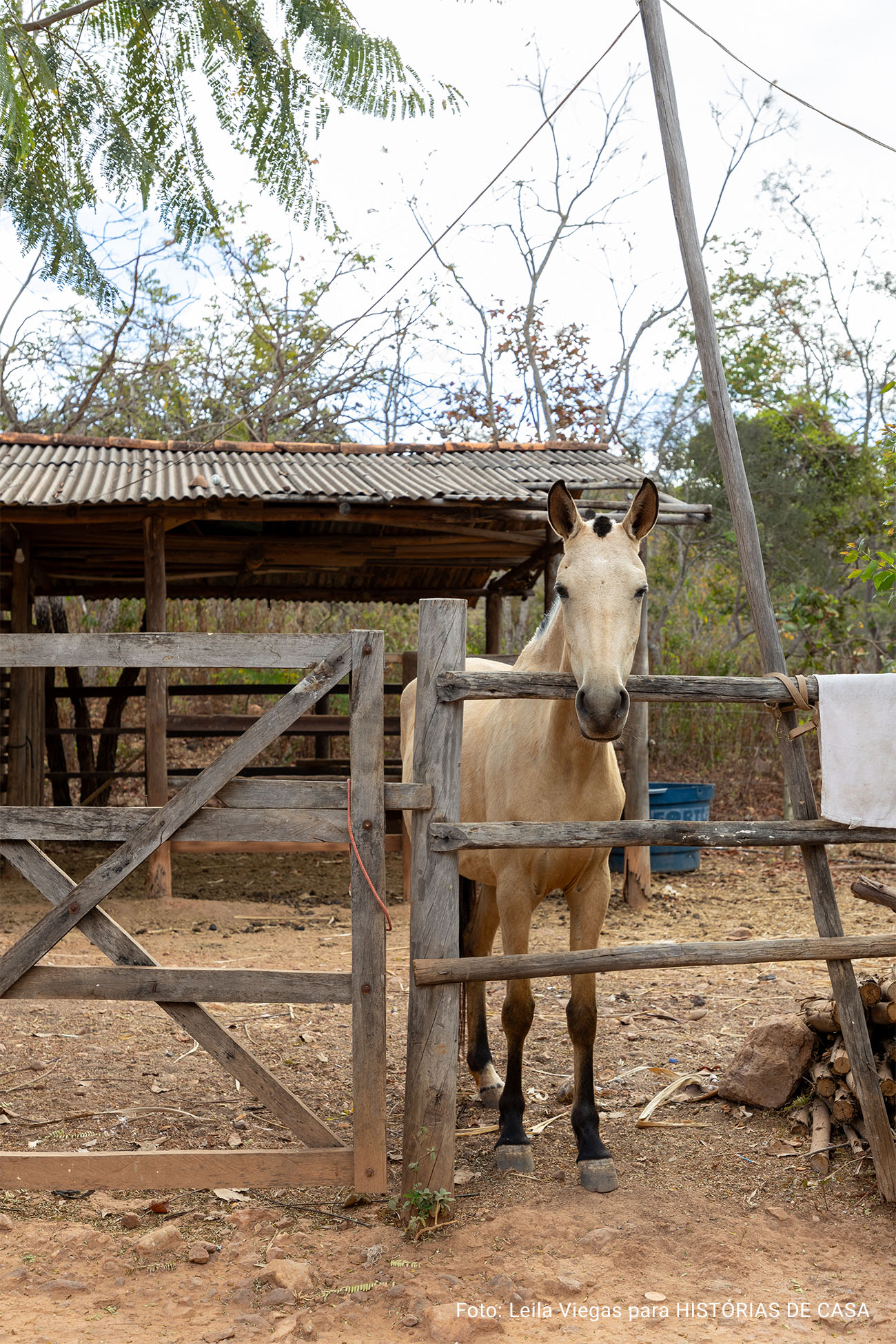 Uma expedição ao Vale do Jequitinhonha