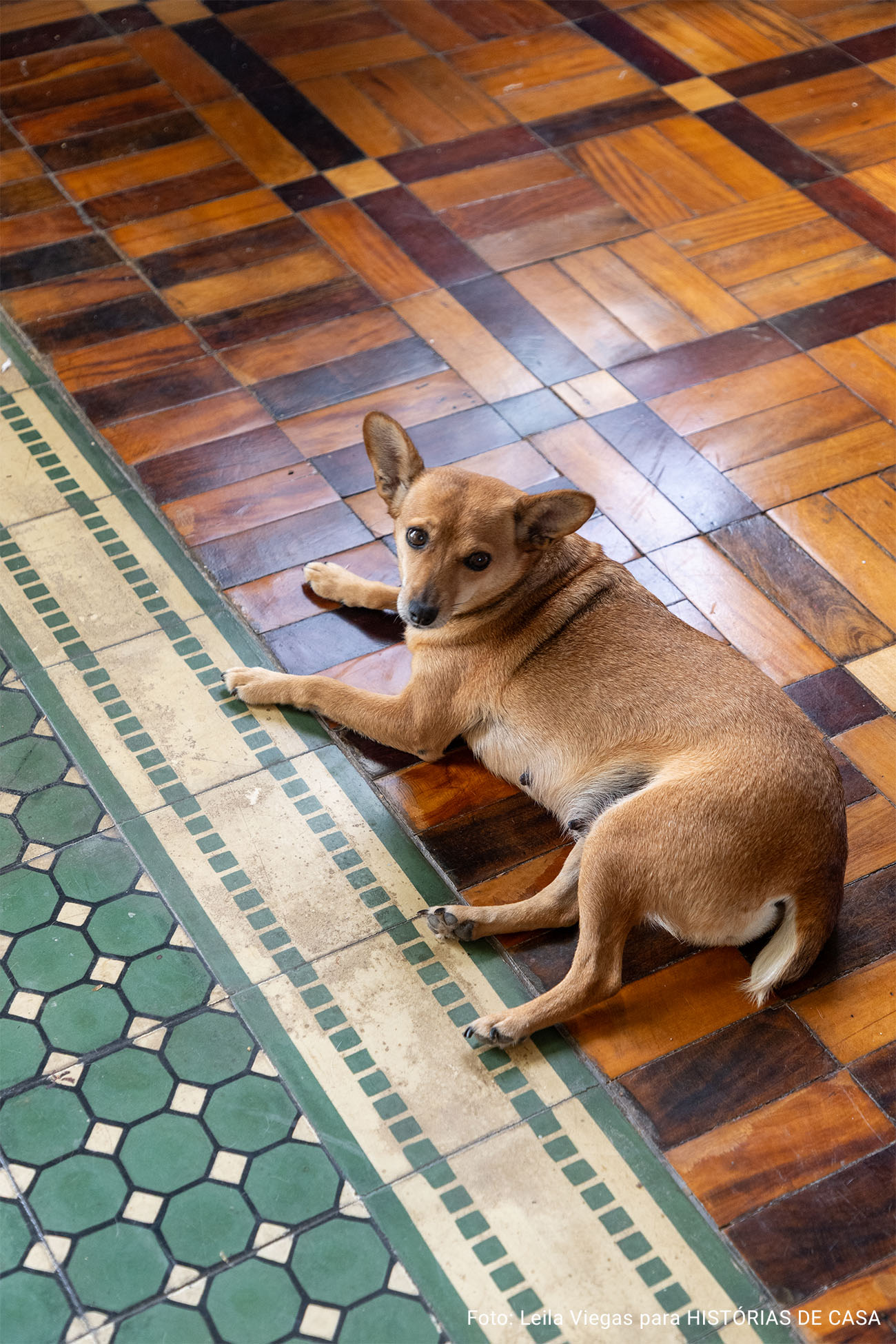 Casa dos anos 20 restaurada em Belo Horizonte